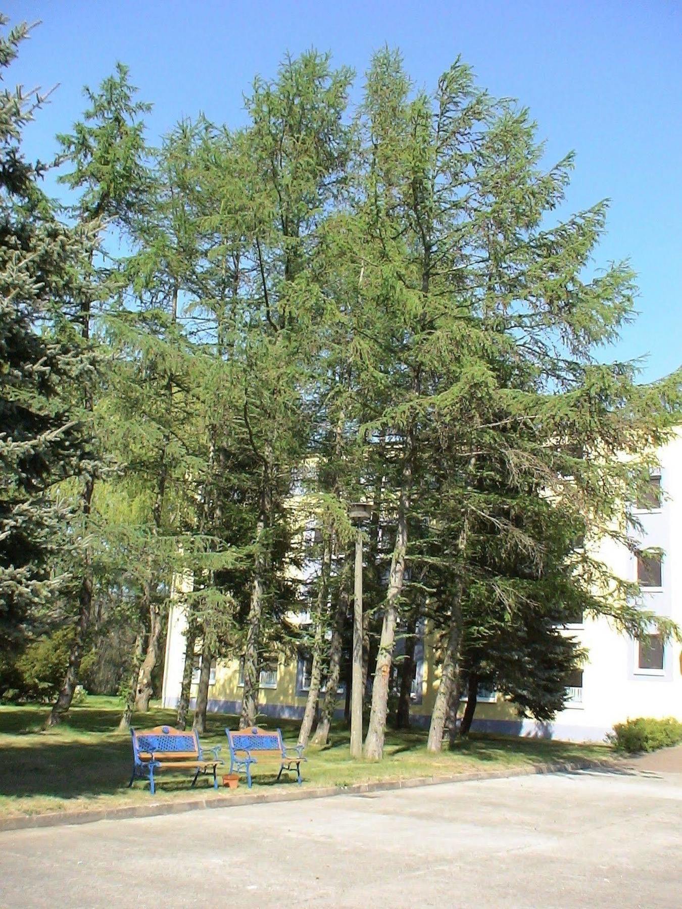 Hotel Mukran Засниц Экстерьер фото